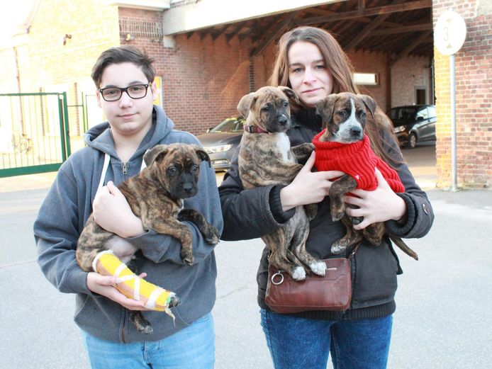 Kyan Saraiva Da Rocha en Tessa Deraedt van het dierenopvangcentrum met de drie puppy's. Eentje heeft nog een trui aan om het beestje warm te houden.