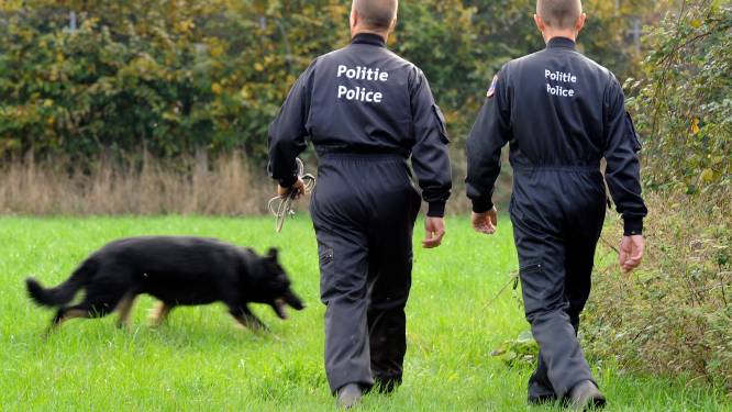La police belge envoie deux maîtres-chiens en Ukraine