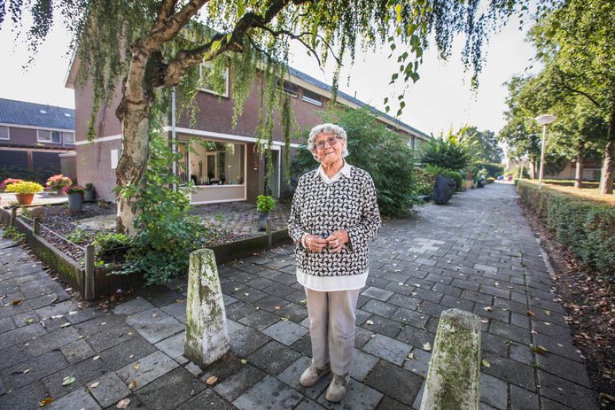 Hier werd zestig jaar geleden de eerste paal geslagen voor de nieuwe ...