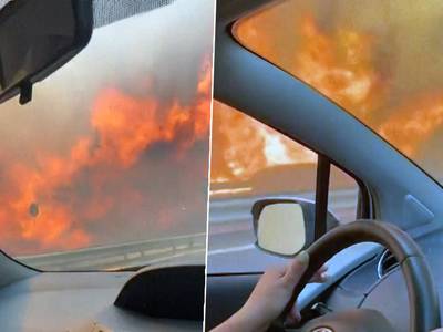 KIJK. “Jezus, Jezus, Jezus!” Doodsbange vrouwen maken vanuit auto apocalyptische beelden van bosbranden op Sicilië