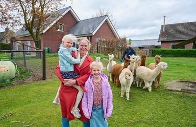Anne en Willem-Mathijs wonen tussen zeventig alpaca’s: ‘Ze hebben allemaal een naam’