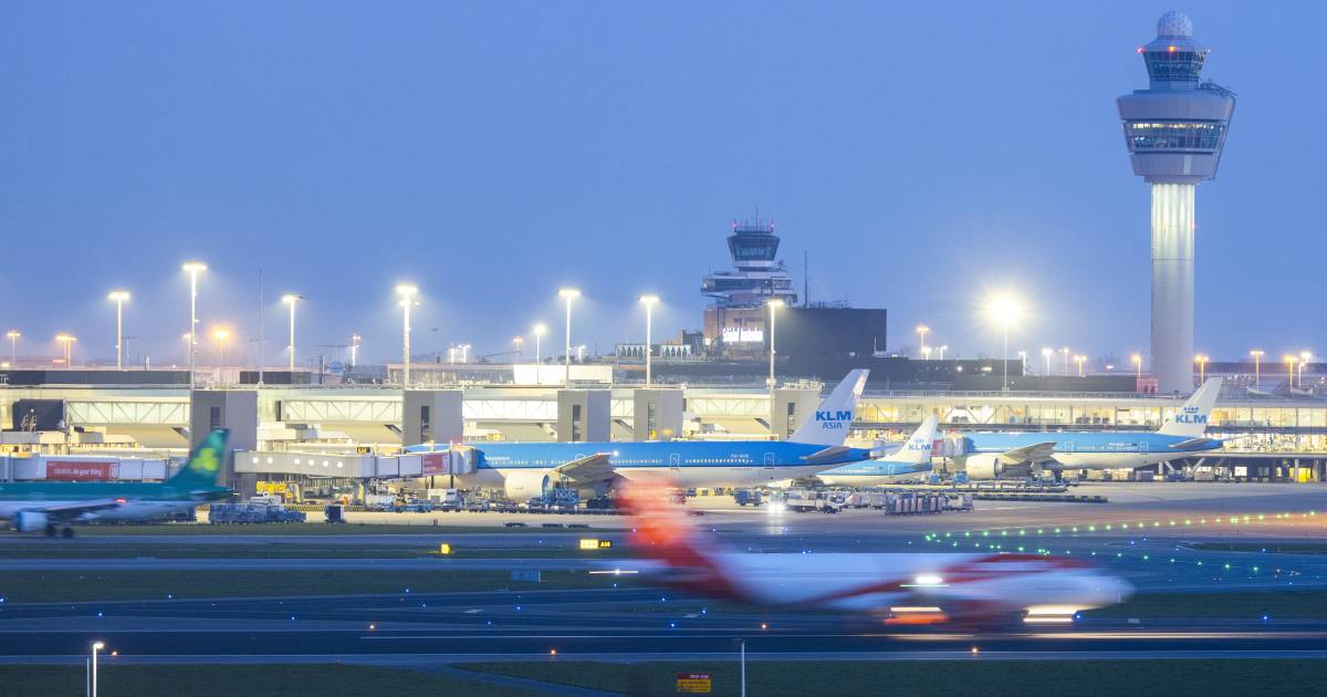 Sembra che l’equipaggio di cabina abbia bevuto molto durante l’ispezione a Schiphol  al di fuori