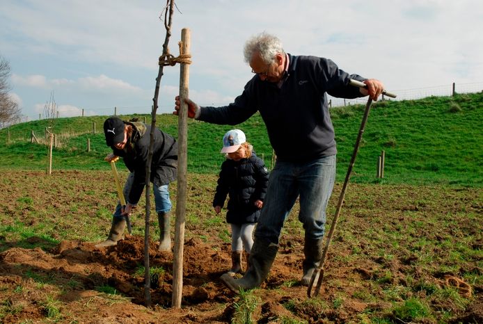 voorzien Ziek persoon Aanmoediging Goedkope bomen voor inwoners Neder-Betuwe | Rivierenland | gelderlander.nl