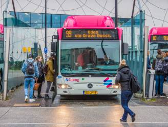 Met de bus van Grave naar Nijmegen? Misschien in een lichtere of kleinere bus