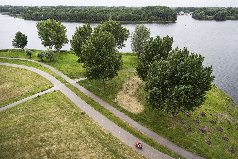 De gemeente Almere heeft plannen om bij haar binnenmeer de Floriade te bouwen. Het eiland in de achtergrond zal dan bebouwd worden. Ook komt er een grote board-walk. Beeld Guus Dubbelman / de Volkskrant
