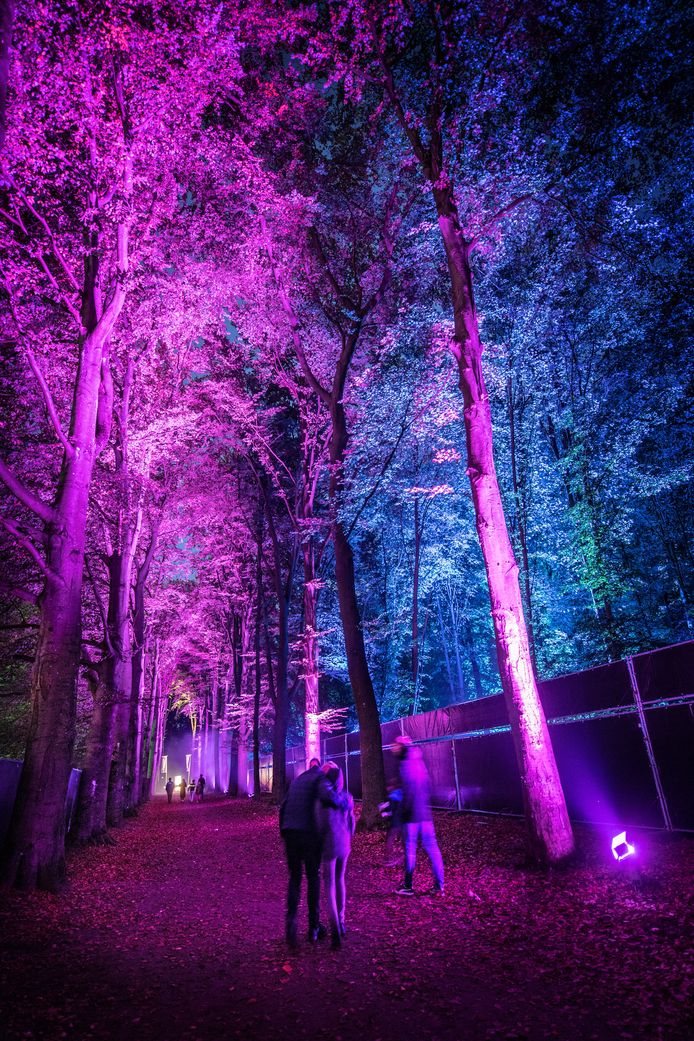 Schemerlichtfestival.