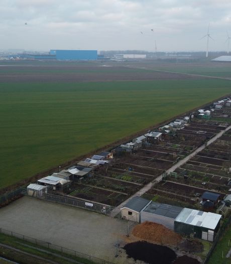 Vervuilde grond niet afvoeren, dat scheelt Waalwijk miljoenen: 'Geen gevaar voor de volksgezondheid’