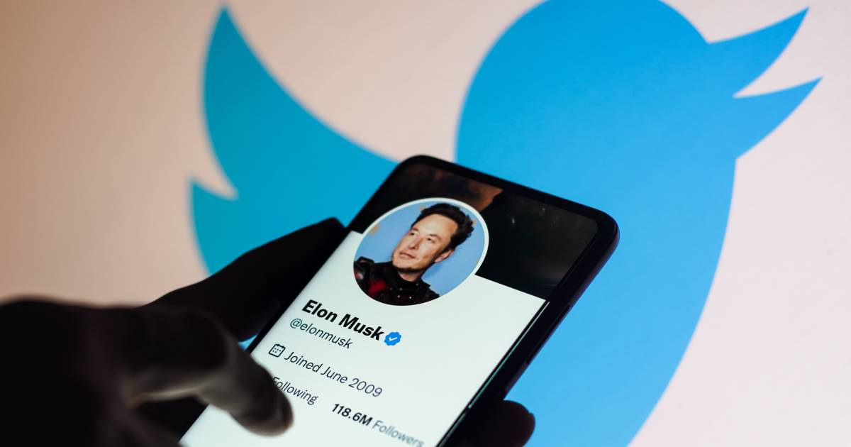 ‘Il popolo ha parlato’: Elon Musk annuncia il ritorno degli account Twitter sospesi |  Tecnico