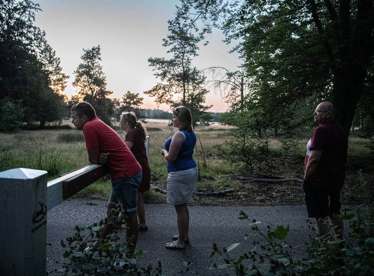 Een familie is op de Veluwe op zoek naar wild in de schemer. Beeld Koen Verheijden
