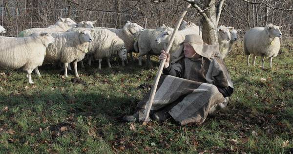 Kerstwandeling 'De velden van Daarle in'