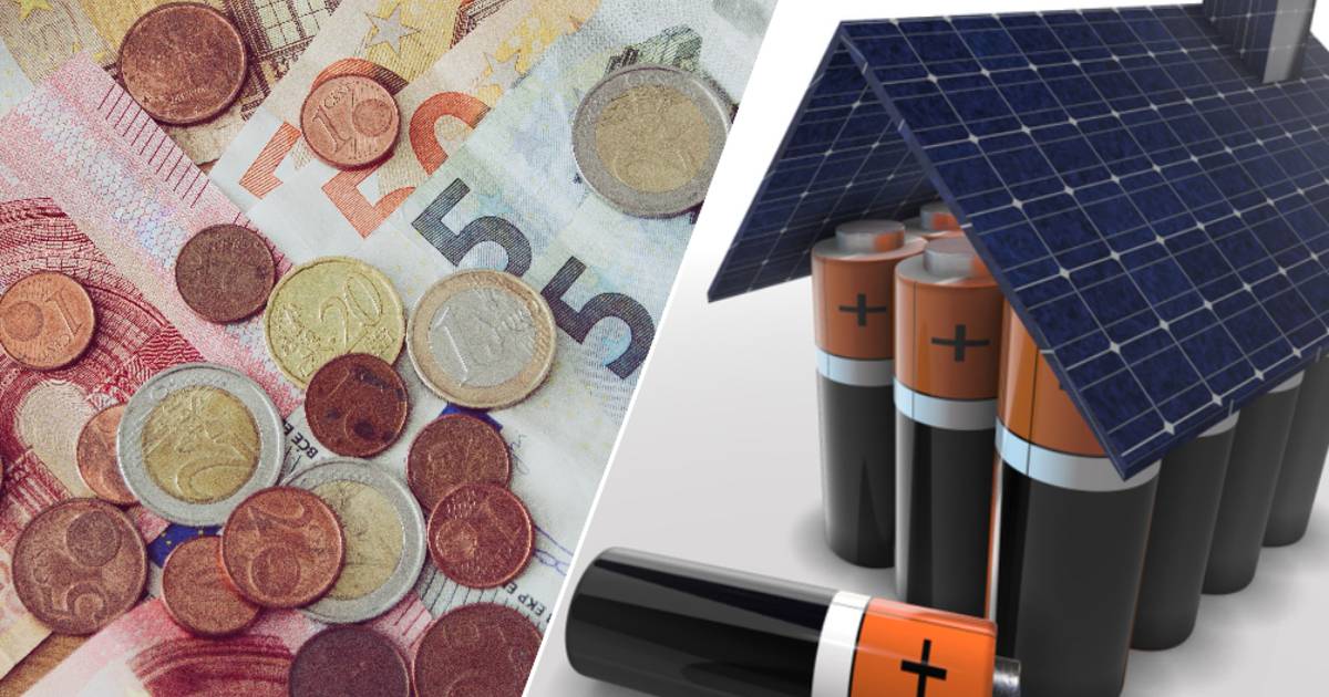 Фламандцы покупают в пять раз больше бытовых батареек: кому это (не)интересно?  А какие есть альтернативы?  |  Деньги