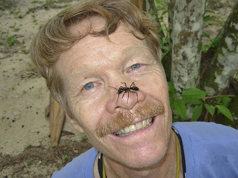 Entomoloog Justin Orvel Schmidt. Beeld Courtesy Justin Schmidt