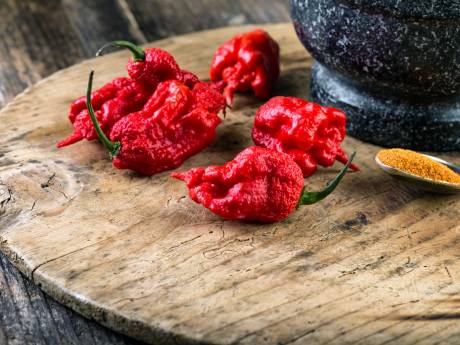 Kleine peper maakt groot verschil in je Hollandse pot
