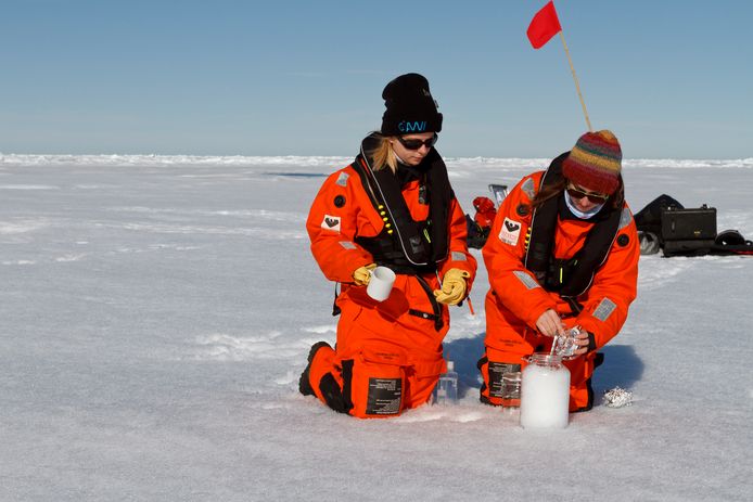 Wetenschappers verzamelen sneeuwstalen op de Noordpool.