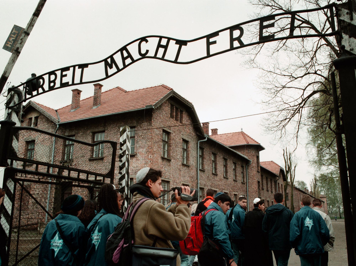 Освенцим в библиотеке. Arbeit macht frei Аушвиц. Арбайт Махт Фрай Освенцим. Ворота концлагеря Аушвиц (Arbeit macht frei). Арбайт Махт Фрай на воротах концлагеря.