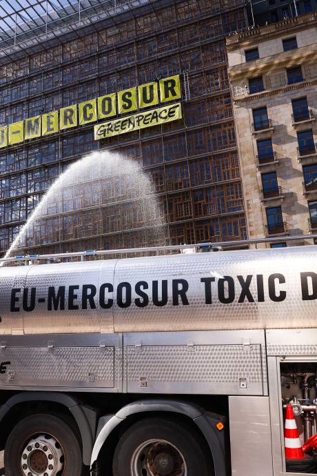 Greenpeace escalade le siège du Conseil européen pour contester l’accord UE-Mercosur