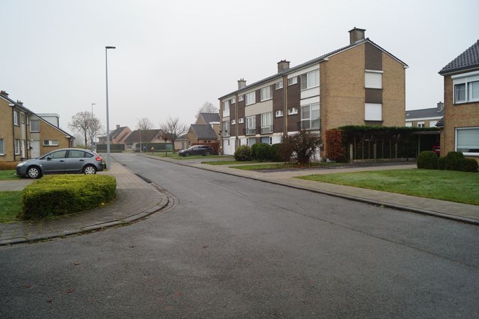 De straat in de Tuinwijk is erg breed, terwijl er tussen de straat en de huizen ook nog eens brede groenzones liggen.