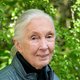 Biologe Jane Goodall: ‘Toen ik echt naar een vlieg keek kon ik zien wat het werkelijk was. Een klein wonder’