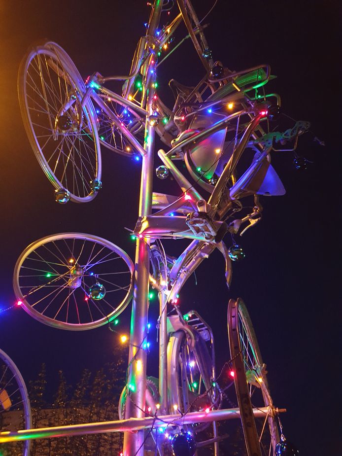 De Veloboom in Beringen