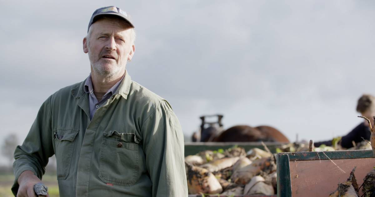 Bijzondere documentaire over Zeeuwse bioboer: 'Dit is een verhaal dat móet worden verteld' - Provinc