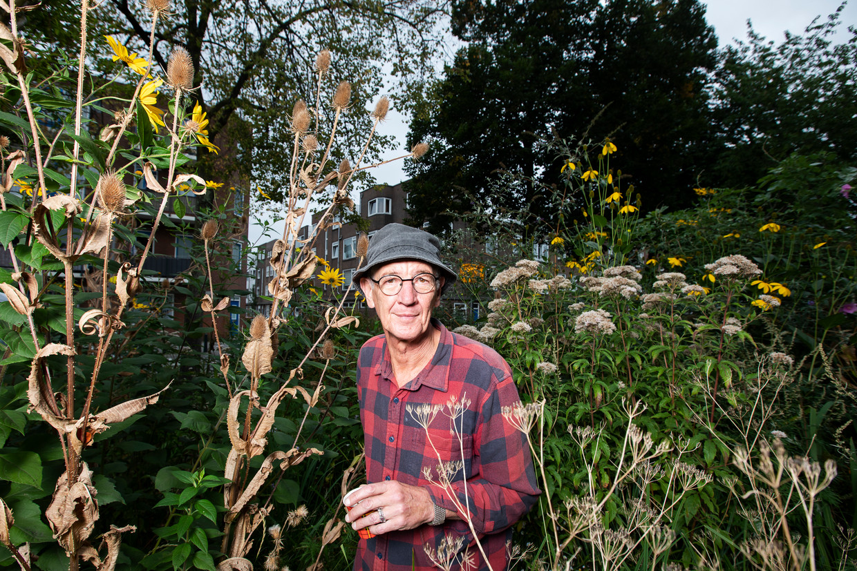 Rini Biemans: ‘Vergeet het tuincentrum, de tuinaarde met afgegraven turf en de planten met gif. De natuur kan het heel goed zelf’.