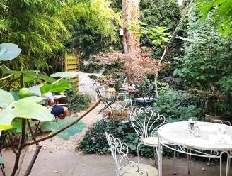 TERRASTIP. Take 5 Minutes In Paris: “Best bewaarde geheim van Sint-Andries”