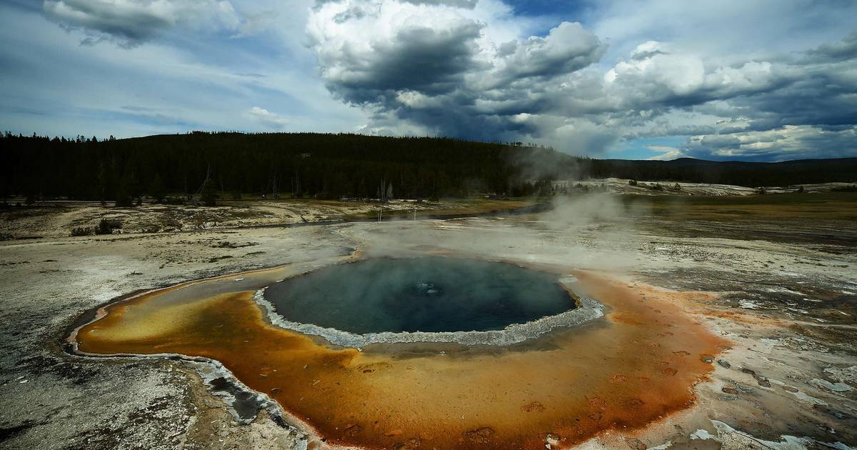 Yellowstone met een 3 jarige