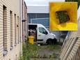 De politie trof bij een hennepkwekerij aan de Productieweg in Hasselt 320 net geplante stekjes.