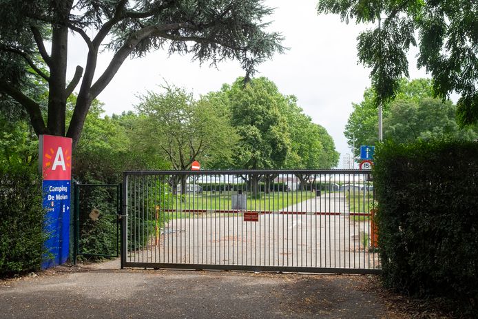 Vruchtbaar Berouw Waardig Camping De Molen dicht na faillissement, stad zoekt nieuwe kandidaten en  denkt aan glamping | Antwerpen | hln.be