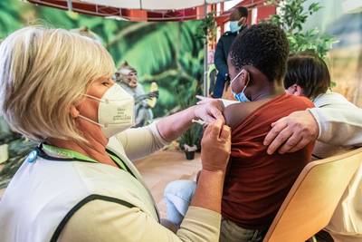 “Je n’ai même pas senti la piqûre!”: la vaccination pour enfants au zoo d’Anvers ne manque pas sa cible