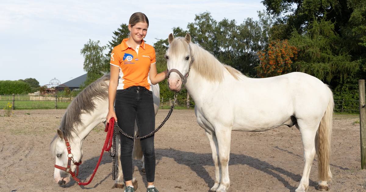 Getalenteerde Karlijne (16) uit Hoogenweg met haar pony’s naar EK mennen in Zweden