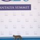 Katten breken door security op G20 (filmpje)