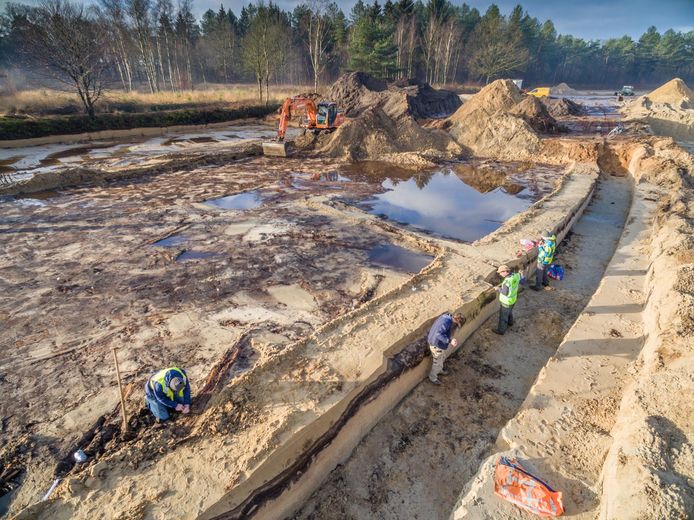 De werkzaamheden tijdens het opgraven van het 13.000 jaar oude dennenbos in Den Treek-Henschoten.