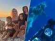 CELEB 24/7. Kim Kardashian geniet van het strand met haar kinderen en wie zwemt er met tijgerhaaien?