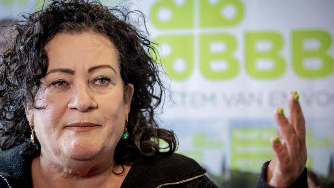 Caroline van der Plas: “Voorbereidingen gestart voor Vlaamse BBB-partij, maar wij zijn daar niet bij betrokken”