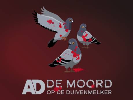 Luister hier naar alle afleveringen van podcast De moord op de duivenmelker
