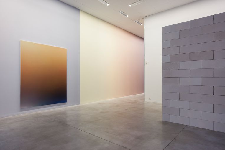 MMuseum toont toverkunst van Pieter Vermeersch, de ‘Vlaamse Rothko’