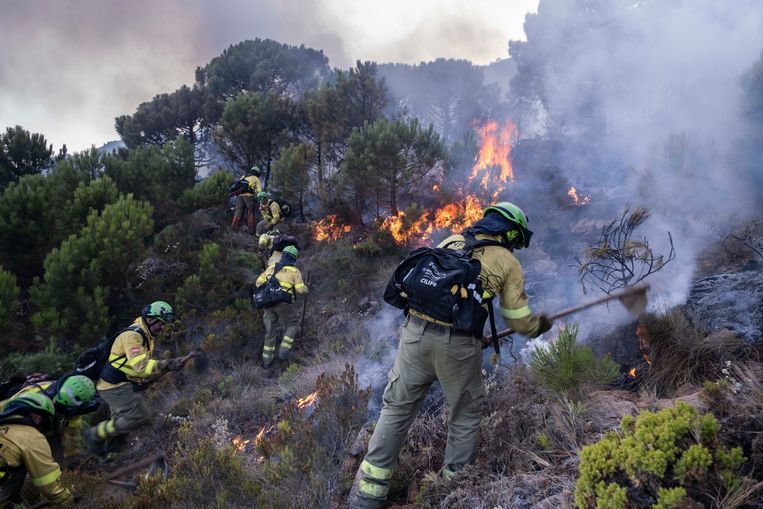 Brandweermannen proberen een bosbrand op Malaga onder controle te krijgen.  Beeld AP