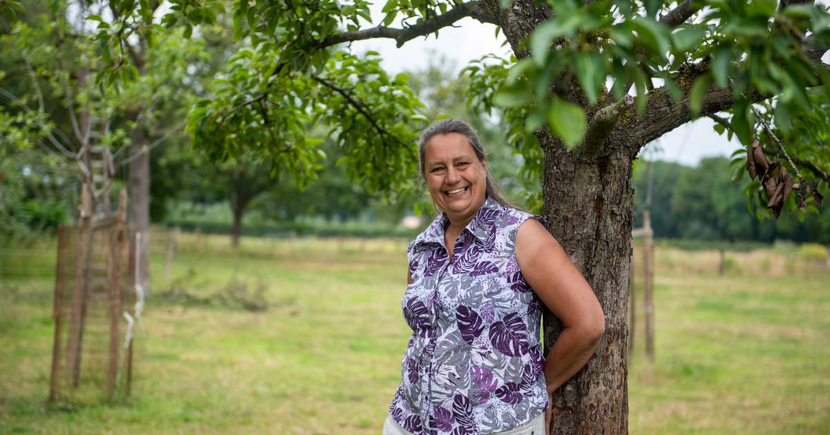 Dit is waarom Trudy (54) uit Lettele graag profiteert van ‘bijna gratis' Overijsselse bomen