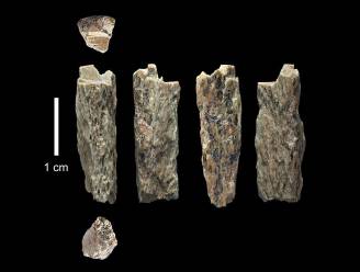 Primeur: bot ontdekt van dochter van neanderthaler en denisovamens