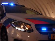 Dronken man (49) springt op dak van politieauto in Tilburg, bijt agent tijdens aanhouding