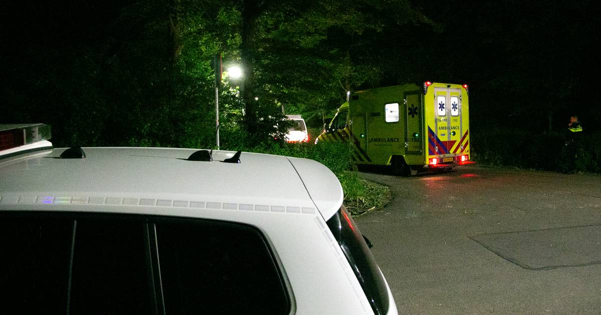 Groepsknuffel veranderde in één seconde in een steekpartij: 16 maanden cel en tbs geëist.