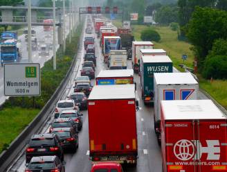 50 minuten file op E313 richting Antwerpen: aanschuiven van Herentals-West tot Antwerpen-Oost