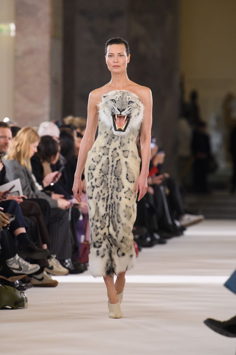 null Beeld SCHIAPARELLI