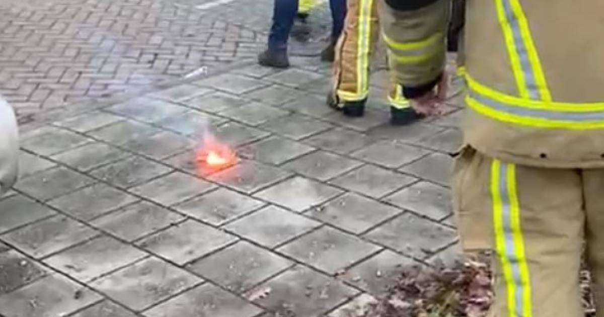 Je blijft hoe dan ook met je poten van (hardwerkende) hulpverleners af!
