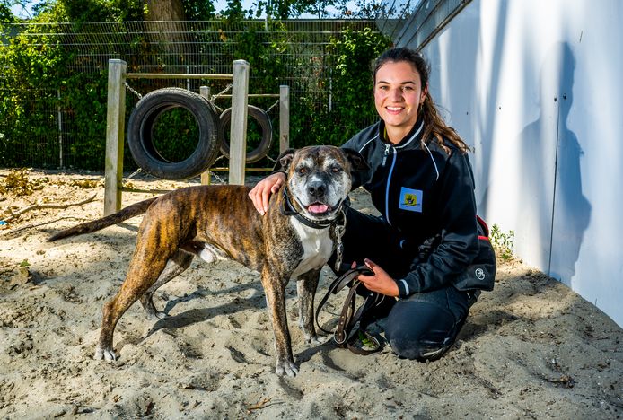 Hond Mexx heeft zijn uiterlijk niet mee, maar na ruim een jaar in het ...