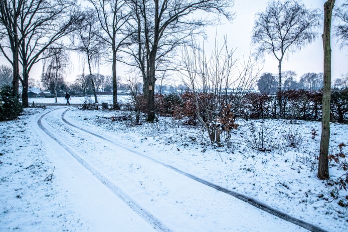 Een witte wereld in Casteren.