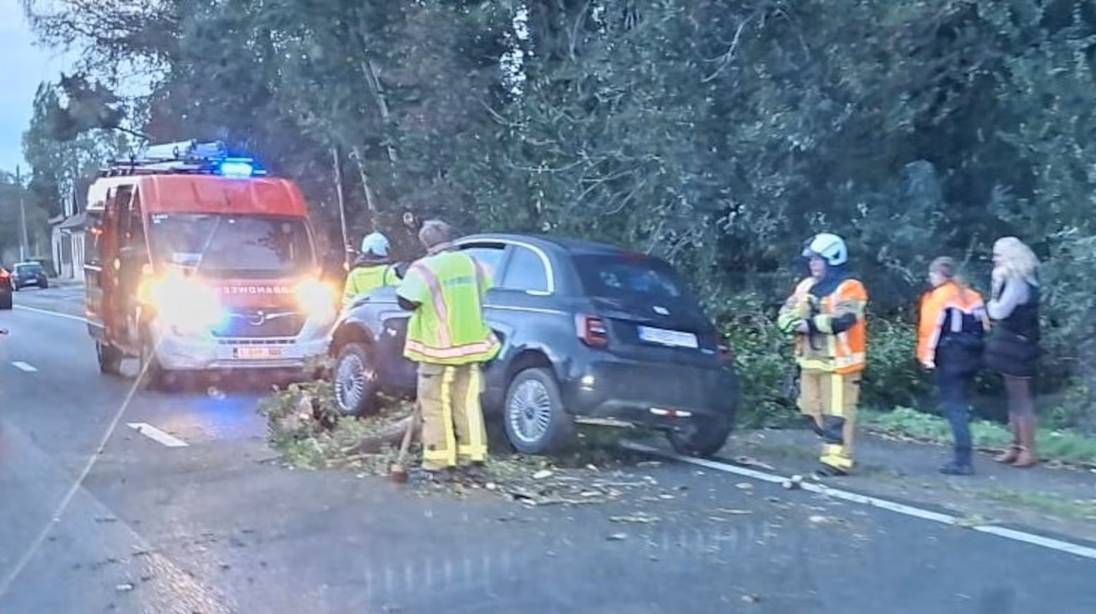 Storm Austen trekt over het land: windstoten tot 110 km per uur mogelijk, eerste schade in de Westhoek