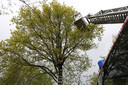 Vrouw vast in boom na reddingspoging kat in Voorschoten.