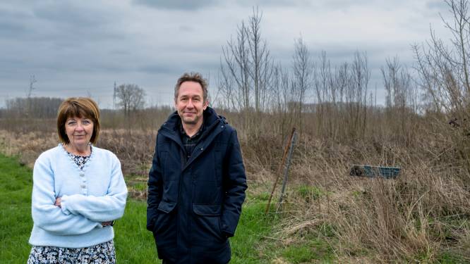 Na jaren nog altijd geen heraanplant bosje Scheutlagestraat: “Bij stad op aandringen dat voorwaarden worden nageleefd”